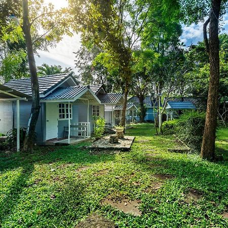 מואקלק Ivy Cottage By Qiu מראה חיצוני תמונה